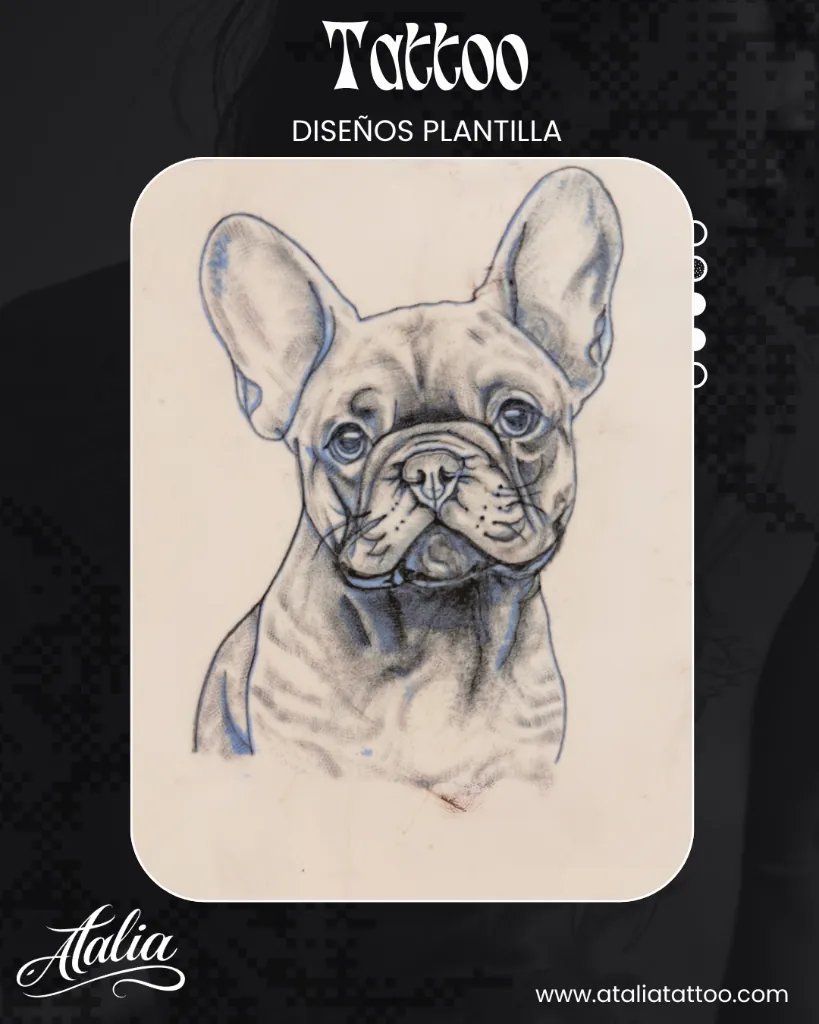 Bulldog Francés