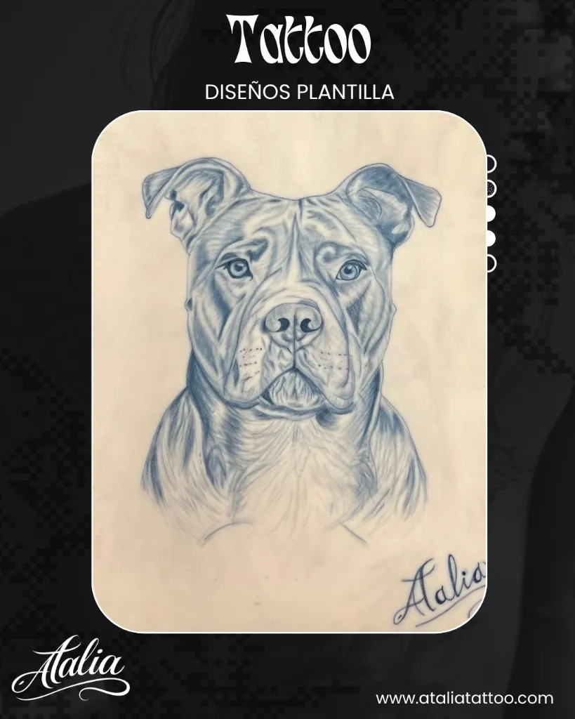Pitbull