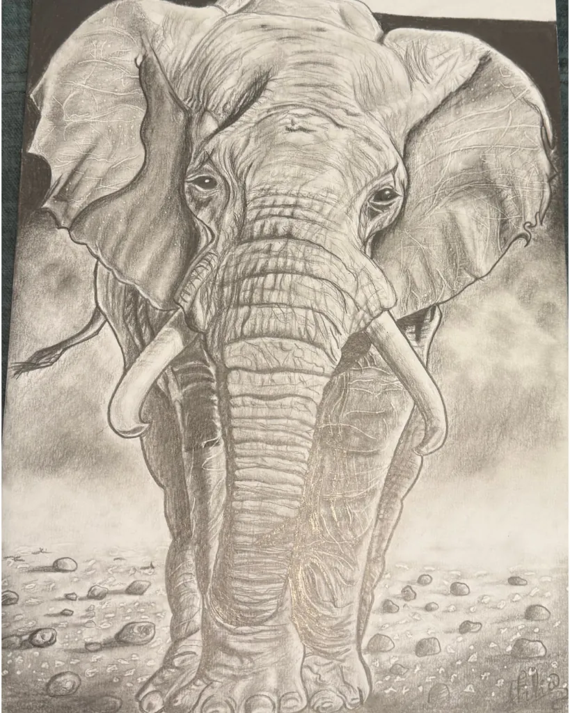 Elefante